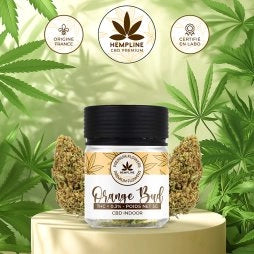 ORANGE BUDS FLEUR DE CBD (5G) - HEMPLINE