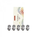 RÉSISTANCE CÉRAMIQUE 1.2Ω WAVE MINI (5PCS) – TIMESVAPE
